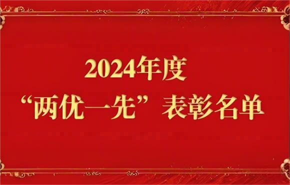 2024年度“兩優一先”表彰名單出爐