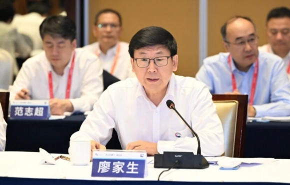 廖家生出席2025世界制造業大會和“央企安徽行”活動并調